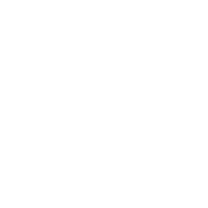 Schering Plough Logo